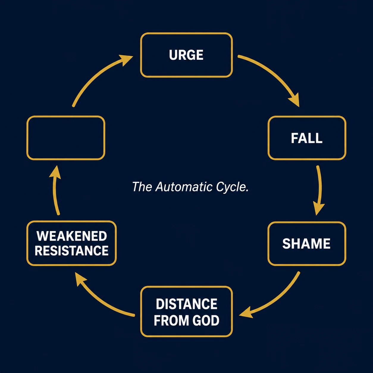 The Loop Cycle Diagram