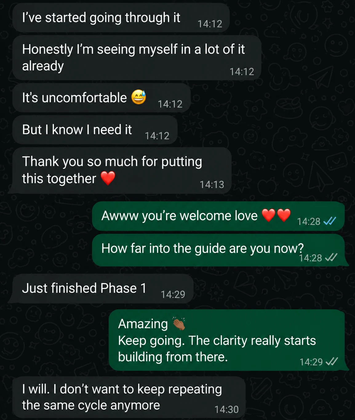 WhatsApp message from a Safety Trap buyer