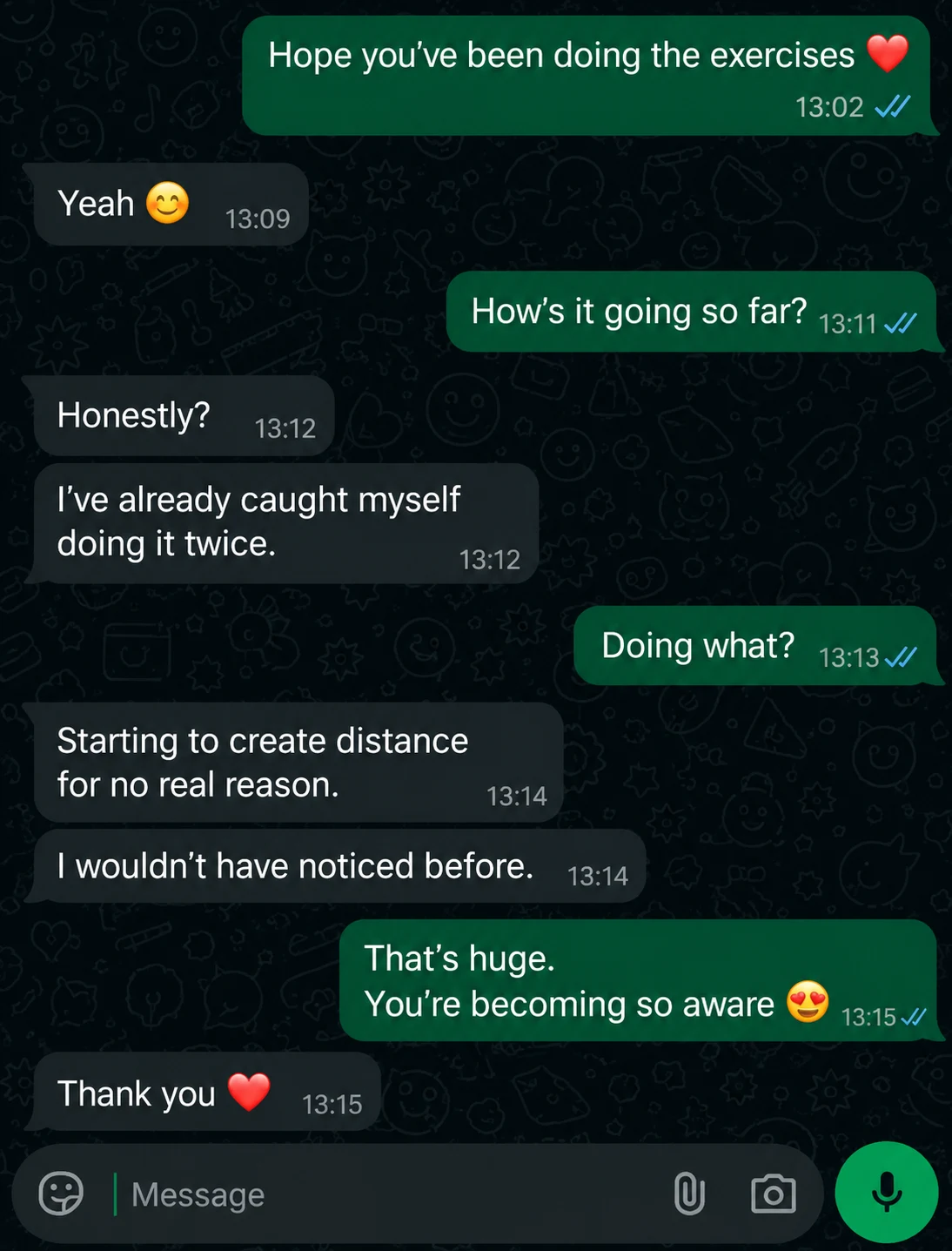 WhatsApp message from a Safety Trap buyer