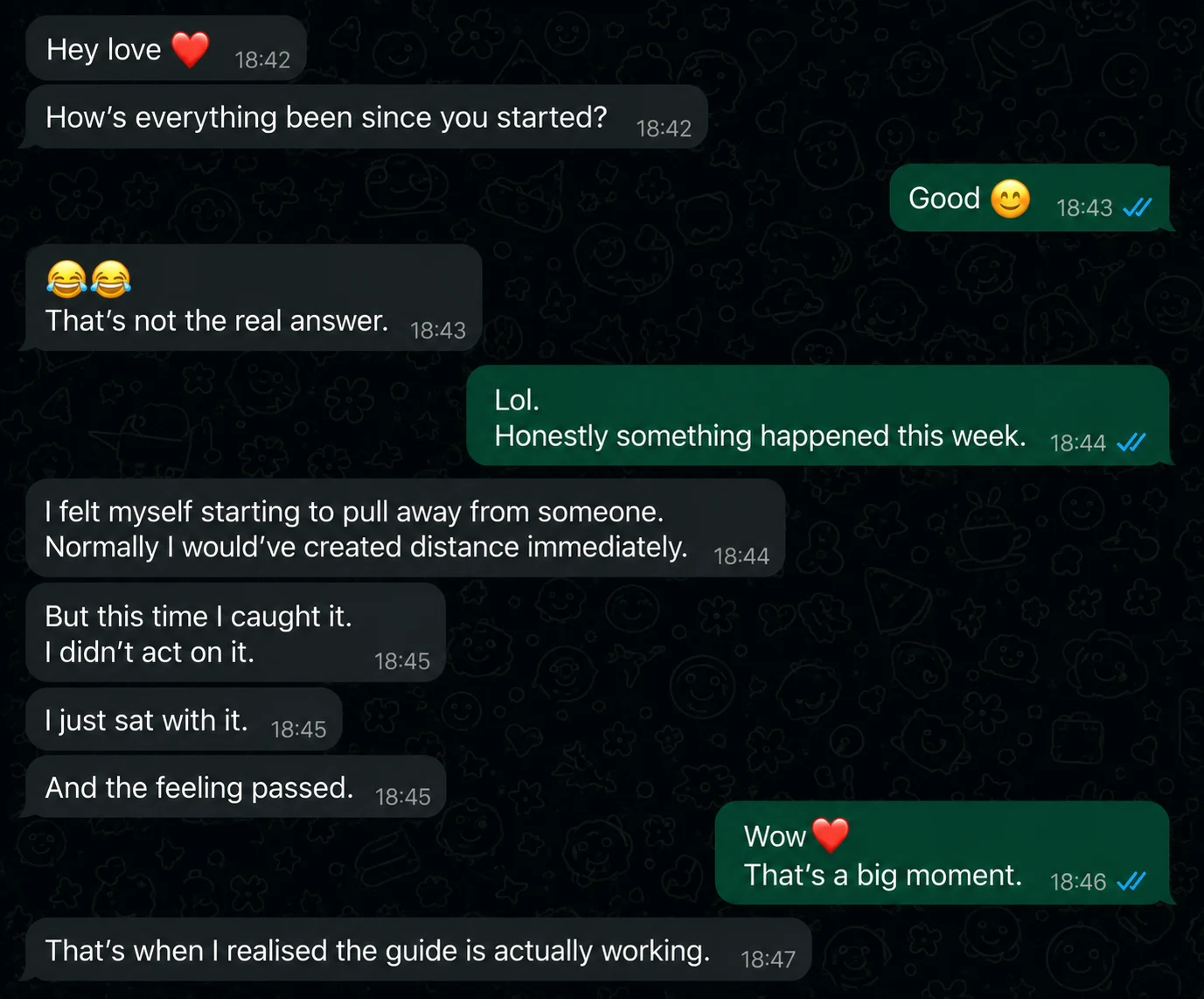 WhatsApp message from a Safety Trap buyer