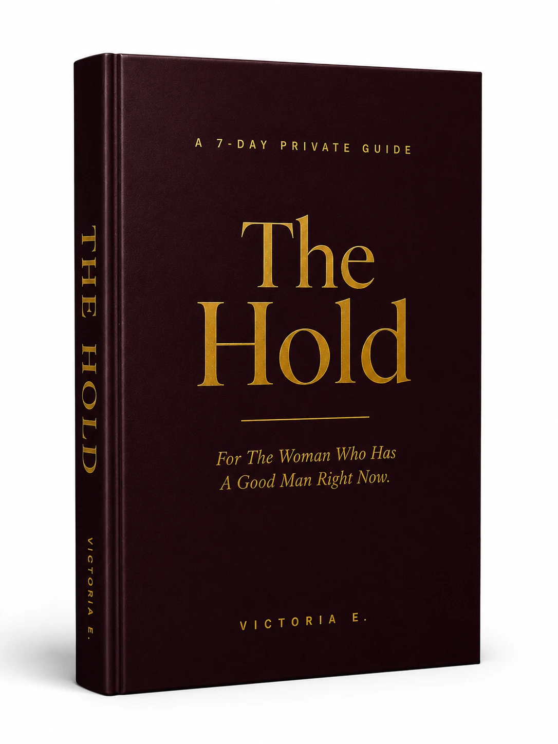 The Hold by Victoria E.